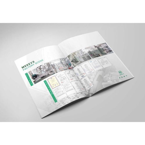 【內(nèi)江畫冊(cè)定制印刷】- 