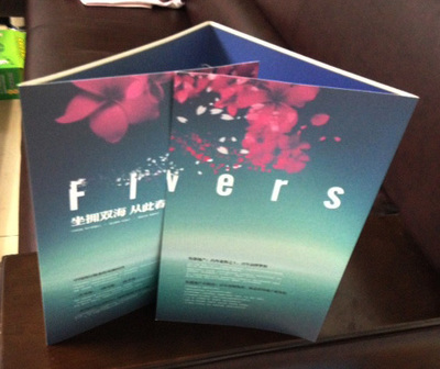 樓盤(pán)折頁(yè)